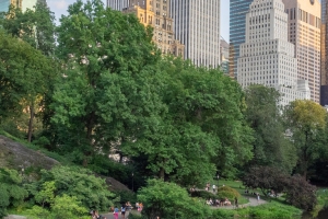 NYC Central Park